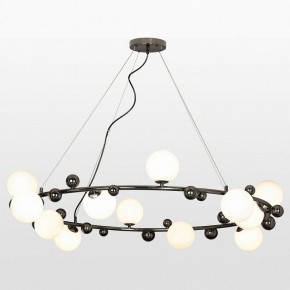 Подвесная люстра Lussole Coosa LSP-8654 в Казани - kazan.mebel24.online | фото 3