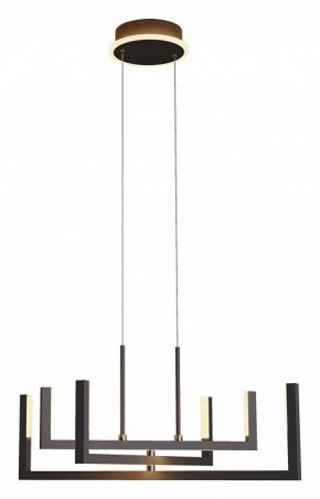 Подвесная люстра Lussole Lussoe LSP-7009 в Казани - kazan.mebel24.online | фото 2