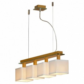 Подвесная люстра Lussole Montone LSF-2503-04 в Казани - kazan.mebel24.online | фото 2