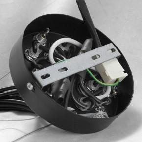 Подвесная люстра Lussole Seneca GRLSP-8177 в Казани - kazan.mebel24.online | фото 10