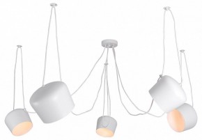 Подвесная люстра Lussole Shirley LSP-8175 в Казани - kazan.mebel24.online | фото