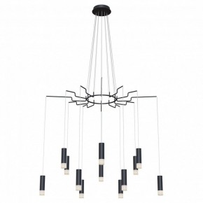 Подвесная люстра Maytoni Davida MOD035PL-12B в Казани - kazan.mebel24.online | фото 2
