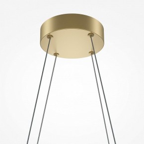 Подвесная люстра Maytoni Halo MOD244PL-L50BSK в Казани - kazan.mebel24.online | фото 4
