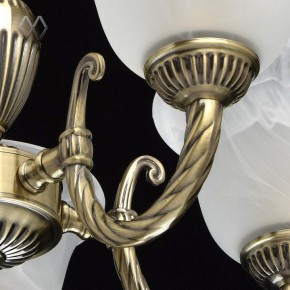Подвесная люстра MW-Light Ариадна 20 450016305 в Казани - kazan.mebel24.online | фото 6