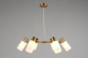 Подвесная люстра Omnilux Ales OML-69103-06 в Казани - kazan.mebel24.online | фото 4