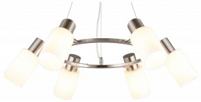 Подвесная люстра Omnilux Ales OML-69113-06 в Казани - kazan.mebel24.online | фото 2