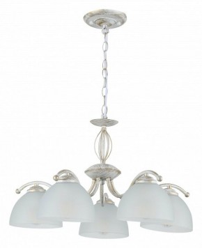 Подвесная люстра Rivoli Valerie Б0060980 в Казани - kazan.mebel24.online | фото 5
