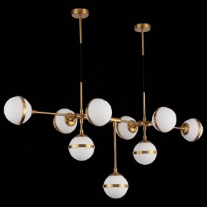 Подвесная люстра ST-Luce Arbe SL1157.303.09 в Казани - kazan.mebel24.online | фото 4