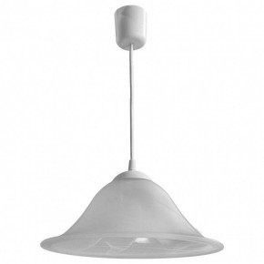 Подвесной светильник Arte Lamp Cucina A6430SP-1WH в Казани - kazan.mebel24.online | фото 2