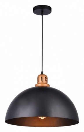 Подвесной светильник Arte Lamp Eurica A4249SP-1BK в Казани - kazan.mebel24.online | фото 2