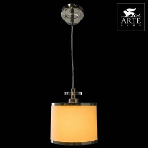 Подвесной светильник Arte Lamp Furore A3990SP-1CC в Казани - kazan.mebel24.online | фото 3