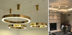 Подвесной светильник Imperiumloft Light Ring Horizontal 40.1454-80 в Казани - kazan.mebel24.online | фото 2