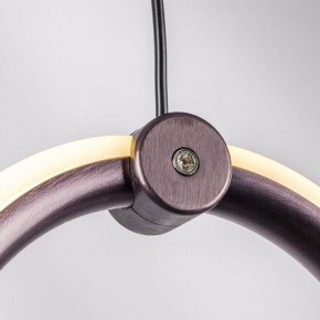 Подвесной светильник Lightstar Caramello 796349 в Казани - kazan.mebel24.online | фото 10