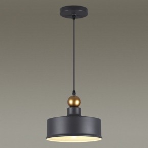 Подвесной светильник Odeon Light Bolli 4088/1 в Казани - kazan.mebel24.online | фото 4