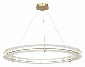 Подвесной светильник ST-Luce FAGY SL6245.213.01 в Казани - kazan.mebel24.online | фото 4
