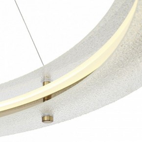 Подвесной светильник ST-Luce FAGY SL6245.213.01 в Казани - kazan.mebel24.online | фото 6