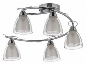Потолочная люстра Arti Lampadari Paola, Tavenna Nickel Paola E 1.1.5 N в Казани - kazan.mebel24.online | фото