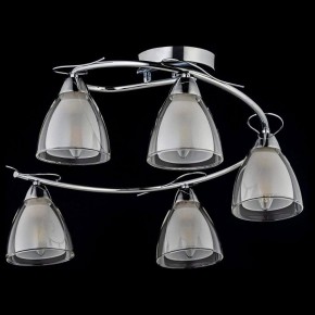Потолочная люстра Arti Lampadari Paola, Tavenna Nickel Paola E 1.1.5 N в Казани - kazan.mebel24.online | фото 2
