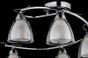 Потолочная люстра Arti Lampadari Paola, Tavenna Nickel Paola E 1.1.5 N в Казани - kazan.mebel24.online | фото 4