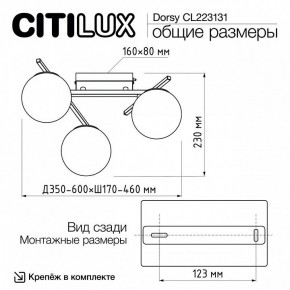 Потолочная люстра Citilux Dorsy CL223131 в Казани - kazan.mebel24.online | фото 11