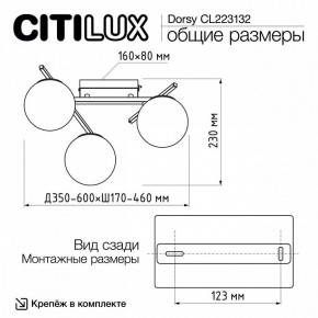 Потолочная люстра Citilux Dorsy CL223132 в Казани - kazan.mebel24.online | фото 12