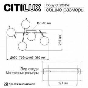 Потолочная люстра Citilux Dorsy CL223152 в Казани - kazan.mebel24.online | фото 10