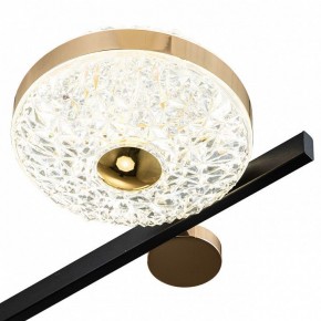 Потолочная люстра Escada Liberta 10219/6LED в Казани - kazan.mebel24.online | фото 6