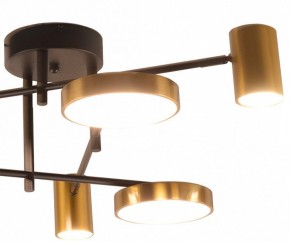 Потолочная люстра Kink Light Рапис 07645-6D,19(20) в Казани - kazan.mebel24.online | фото 2