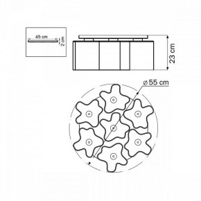 Потолочная люстра Lightstar Nubi 802070 в Казани - kazan.mebel24.online | фото 6