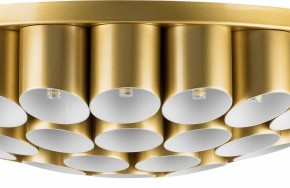 Потолочная люстра Lightstar Siena 720402 в Казани - kazan.mebel24.online | фото 3