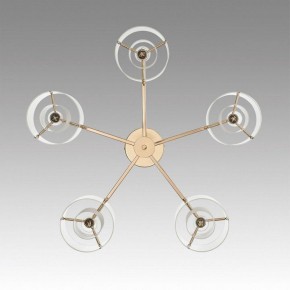 Потолочная люстра Lumion Verdi 6587/5C в Казани - kazan.mebel24.online | фото 4