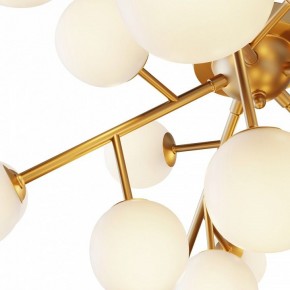 Потолочная люстра Maytoni Dallas MOD545CL-20BS в Казани - kazan.mebel24.online | фото 2