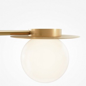 Потолочная люстра Maytoni Star sky MOD291CL-04BS в Казани - kazan.mebel24.online | фото 5