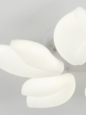 Потолочная люстра Natali Kovaltseva Effect LED LAMPS 81116 в Казани - kazan.mebel24.online | фото 10