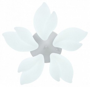 Потолочная люстра Natali Kovaltseva Effect LED LAMPS 81116 в Казани - kazan.mebel24.online | фото 3