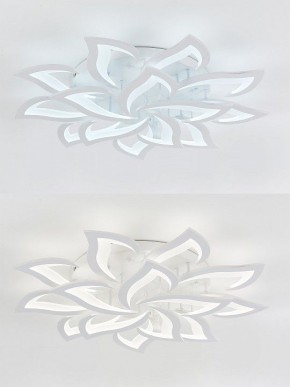 Потолочная люстра Natali Kovaltseva Olimp LED LAMPS 81335 в Казани - kazan.mebel24.online | фото 6