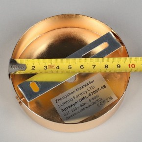 Потолочная люстра Omnilux Acuto OML-67007-08 в Казани - kazan.mebel24.online | фото 8