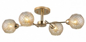 Потолочная люстра Rivoli Amalia Б0050815 в Казани - kazan.mebel24.online | фото 3