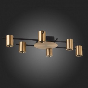 Потолочная люстра ST-Luce Veroli SL1207.402.06 в Казани - kazan.mebel24.online | фото 4