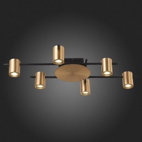 Потолочная люстра ST-Luce Veroli SL1207.402.06 в Казани - kazan.mebel24.online | фото 6