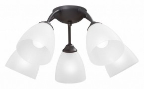 Потолочная люстра Vitaluce V3184 V3737-2/5PL в Казани - kazan.mebel24.online | фото