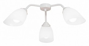 Потолочная люстра Vitaluce V31950 V31950/3PL в Казани - kazan.mebel24.online | фото