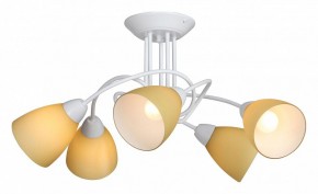 Потолочная люстра Vitaluce V3955 V3955-0/5PL в Казани - kazan.mebel24.online | фото 2