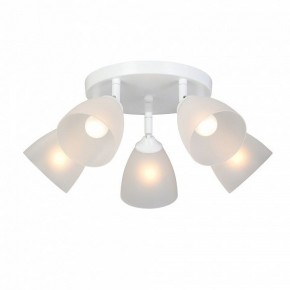 Потолочная люстра Vitaluce V4355 V4355-0/5PL в Казани - kazan.mebel24.online | фото 2