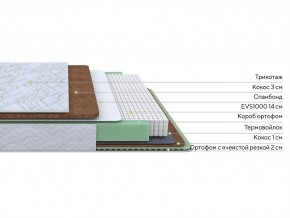 PROxSON Матрас Green Duo M/F (Tricotage Dream) 140x195 в Казани - kazan.mebel24.online | фото 2