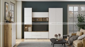 МИЛАН-1 Секция ТВ (ЦРК.МЛН.01 секция ТВ) в Казани - kazan.mebel24.online | фото 3