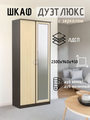 Шкаф 2-х створчатый Дуэт Люкс с зеркалом в Казани - kazan.mebel24.online | фото 1