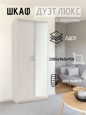 Шкаф 2-х створчатый Дуэт Люкс с зеркалом в Казани - kazan.mebel24.online | фото 5