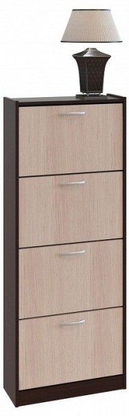 Шкаф для обуви ТО-24 в Казани - kazan.mebel24.online | фото