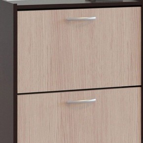 Шкаф для обуви ТО-24 в Казани - kazan.mebel24.online | фото 4